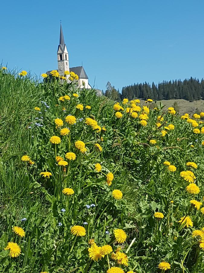 Hotel Und Restaurant Alpina Salouf Εξωτερικό φωτογραφία